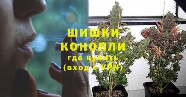 сатива Богородск